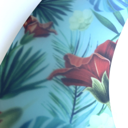 Koalition Aloha Spirit Longboard Pivot Fin 10.5 inch