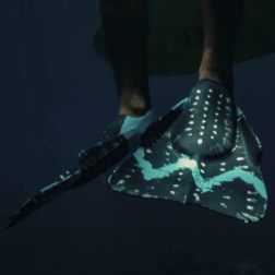 DaFiN Swim Fins Kealopiko